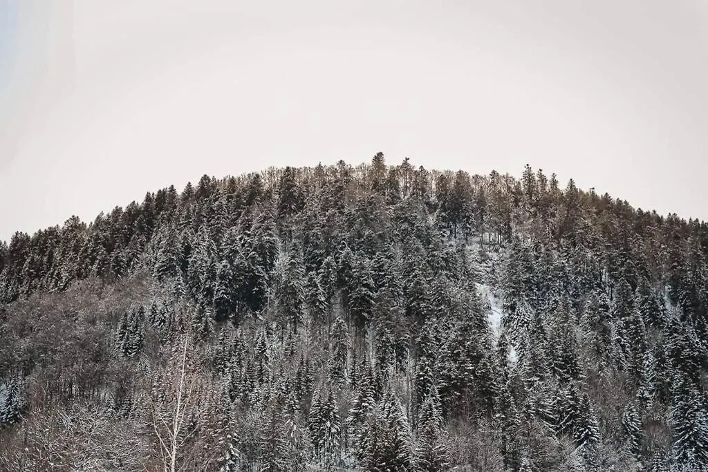 Chalet Loulou, Massif Central, Le Mont-Dore France