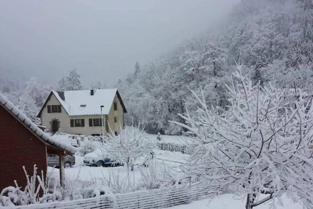 Chalet Loulou, Massif Central, Le Mont-Dore 0*,